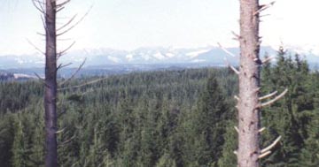 View from Grouse Ridge